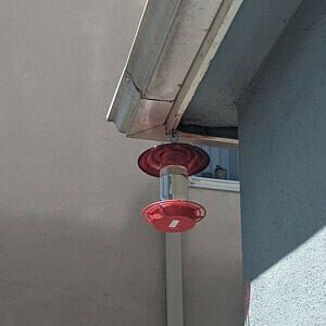 No Drip - Bee Proof Bird Feeder