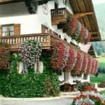 🔥 Last Day Promotion 50% OFF 🔥 Vivid Artificial Hanging Orchid Bunch🌷