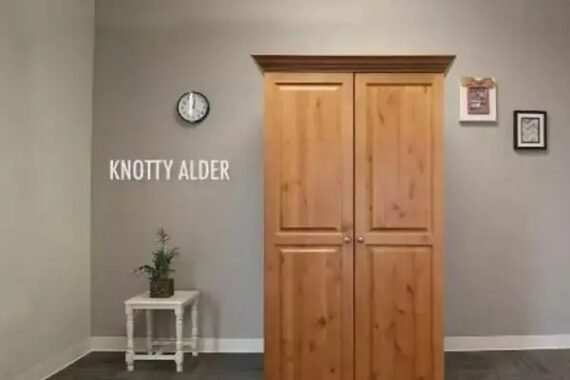 🎉Clearance Sale Hanya RM71.12🎉💖💖Kabinet Storan Untuk Pelbagai Tujuan! 🎁Hadiah Terbaik Untuk Keluarga!